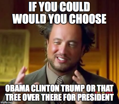 Ancient Aliens | IF YOU COULD WOULD YOU CHOOSE; OBAMA CLINTON TRUMP OR THAT TREE OVER THERE FOR PRESIDENT | image tagged in memes,ancient aliens | made w/ Imgflip meme maker