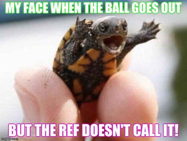 happy baby turtle | MY FACE WHEN THE BALL GOES OUT; BUT THE REF DOESN'T CALL IT! | image tagged in happy baby turtle | made w/ Imgflip meme maker