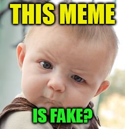 Skeptical Baby Meme | THIS MEME IS FAKE? | image tagged in memes,skeptical baby | made w/ Imgflip meme maker