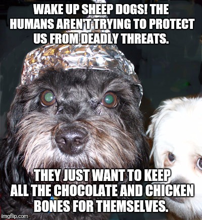WAKE UP SHEEP DOGS! THE HUMANS AREN'T TRYING TO PROTECT US FROM DEADLY THREATS. THEY JUST WANT TO KEEP ALL THE CHOCOLATE AND CHICKEN BONES FOR THEMSELVES. | made w/ Imgflip meme maker