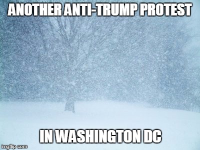 Blizzard | ANOTHER ANTI-TRUMP PROTEST; IN WASHINGTON DC | image tagged in blizzard | made w/ Imgflip meme maker