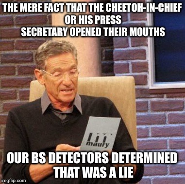 Maury Lie Detector | THE MERE FACT THAT THE CHEETOH-IN-CHIEF OR HIS PRESS SECRETARY OPENED THEIR MOUTHS; OUR BS DETECTORS DETERMINED THAT WAS A LIE | image tagged in memes,maury lie detector | made w/ Imgflip meme maker