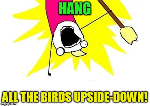 X All The Y Meme | HANG ALL THE BIRDS UPSIDE-DOWN! | image tagged in memes,x all the y | made w/ Imgflip meme maker