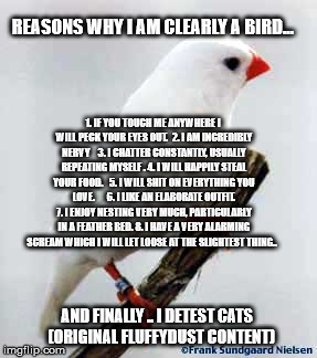 i am bird | REASONS WHY I AM CLEARLY A BIRD... 1. IF YOU TOUCH ME ANYWHERE I WILL PECK YOUR EYES OUT.  2. I AM INCREDIBLY NERVY    3. I CHATTER CONSTANTLY, USUALLY REPEATING MYSELF . 4. I WILL HAPPILY STEAL YOUR FOOD. 

5. I WILL SHIT ON EVERYTHING YOU LOVE. 
    6. I LIKE AN ELABORATE OUTFIT. 7. I ENJOY NESTING VERY MUCH, PARTICULARLY IN A FEATHER BED. 8. I HAVE A VERY ALARMING SCREAM WHICH I WILL LET LOOSE AT THE SLIGHTEST THING.. AND FINALLY .. I DETEST CATS
  (ORIGINAL FLUFFYDUST CONTENT) | image tagged in bird | made w/ Imgflip meme maker