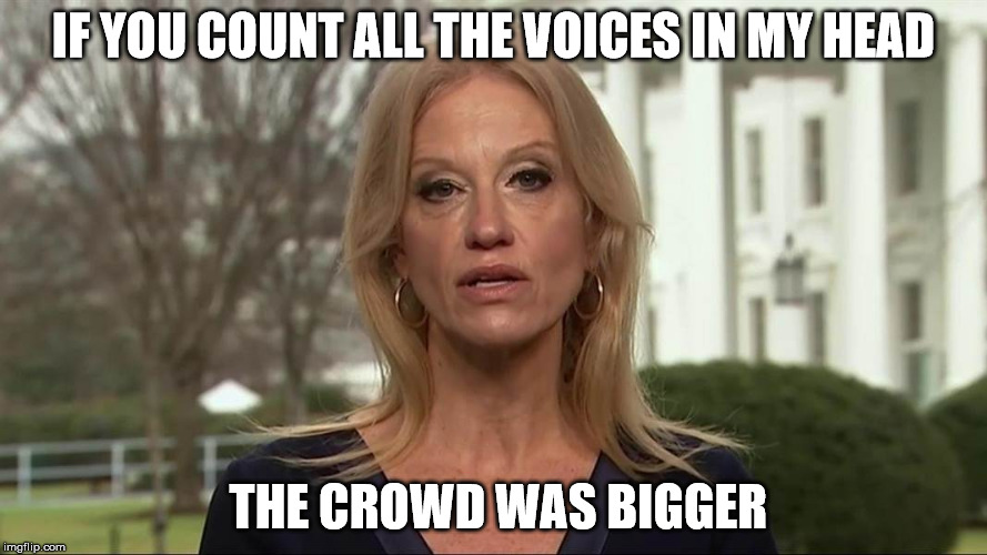 Kellyanne Conway alternative facts | IF YOU COUNT ALL THE VOICES IN MY HEAD; THE CROWD WAS BIGGER | image tagged in kellyanne conway alternative facts | made w/ Imgflip meme maker