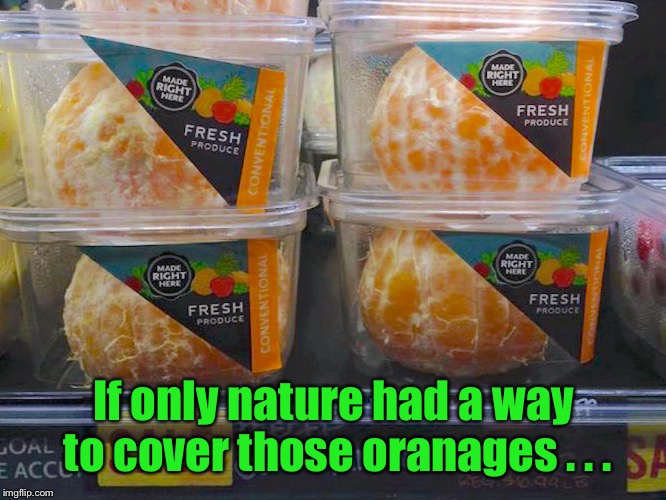 Ingenious packaging  | If only nature had a way to cover those oranages . . . | image tagged in o | made w/ Imgflip meme maker