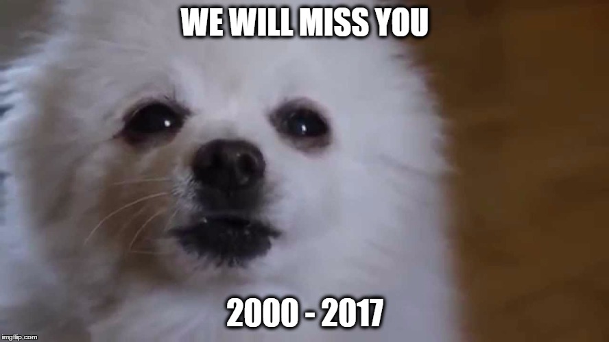 Rest in Piece Gabe the Dog | WE WILL MISS YOU; 2000 - 2017 | image tagged in gabe the dog,heaven,rip | made w/ Imgflip meme maker