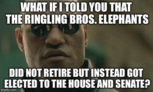 Ringling Bros Elephants Elected to Congress | WHAT IF I TOLD YOU THAT THE RINGLING BROS. ELEPHANTS; DID NOT RETIRE BUT INSTEAD GOT ELECTED TO THE HOUSE AND SENATE? | image tagged in memes,matrix morpheus | made w/ Imgflip meme maker