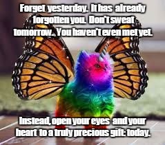 Rainbow Unicorn Butterfly Kitty | Forget  yesterday.  It has  already forgotten you.  Don't sweat tomorrow.  You haven't even met yet. Instead, open your eyes  and your heart  to a truly precious gift: today. | image tagged in rainbow unicorn butterfly kitty | made w/ Imgflip meme maker