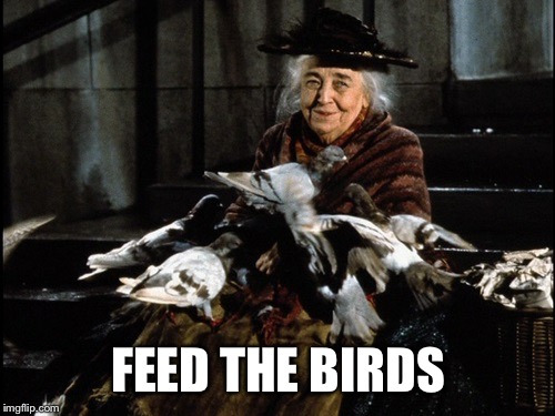 FEED THE BIRDS | made w/ Imgflip meme maker