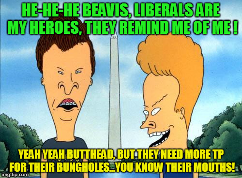 beavis and butthead | HE-HE-HE BEAVIS, LIBERALS ARE MY HEROES, THEY REMIND ME OF ME ! YEAH YEAH BUTTHEAD, BUT THEY NEED MORE TP FOR THEIR BUNGHOLES...YOU KNOW THEIR MOUTHS! | image tagged in beavis and butthead | made w/ Imgflip meme maker