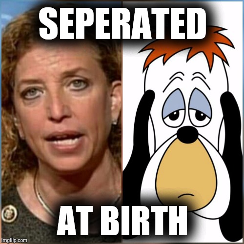 SEPERATED; AT BIRTH | image tagged in debbie wasserman schultz | made w/ Imgflip meme maker