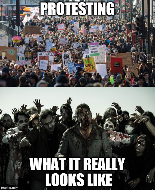 PROTESTING; WHAT IT REALLY LOOKS LIKE | image tagged in zombies,protest,protesters,trump protestors | made w/ Imgflip meme maker