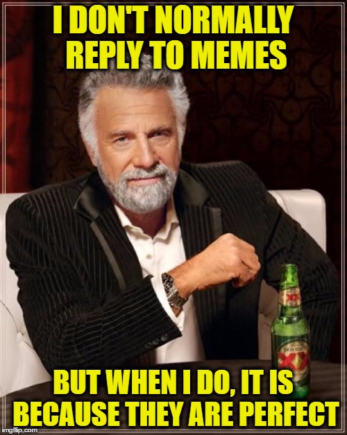 The Most Interesting Man In The World Meme | I DON'T NORMALLY REPLY TO MEMES BUT WHEN I DO, IT IS BECAUSE THEY ARE PERFECT | image tagged in memes,the most interesting man in the world | made w/ Imgflip meme maker