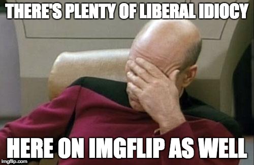 Captain Picard Facepalm Meme | THERE'S PLENTY OF LIBERAL IDIOCY HERE ON IMGFLIP AS WELL | image tagged in memes,captain picard facepalm | made w/ Imgflip meme maker