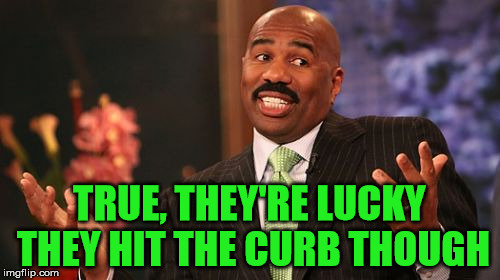 Steve Harvey Meme | TRUE, THEY'RE LUCKY THEY HIT THE CURB THOUGH | image tagged in memes,steve harvey | made w/ Imgflip meme maker