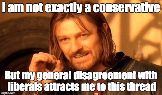 One Does Not Simply | I am not exactly a conservative; But my general disagreement with liberals attracts me to this thread | image tagged in memes,one does not simply | made w/ Imgflip meme maker