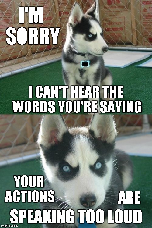 Insanity Puppy | I'M SORRY; I CAN'T HEAR THE WORDS YOU'RE SAYING; YOUR ACTIONS; ARE; SPEAKING TOO LOUD | image tagged in memes,insanity puppy | made w/ Imgflip meme maker