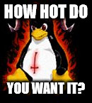Demonic Penguin | HOW HOT DO YOU WANT IT? | image tagged in demonic penguin | made w/ Imgflip meme maker