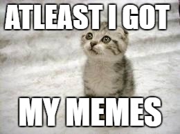 Sad Cat | ATLEAST I GOT; MY MEMES | image tagged in memes,sad cat | made w/ Imgflip meme maker