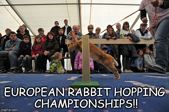 Hopping | EUROPEAN RABBIT HOPPING CHAMPIONSHIPS!! | image tagged in memes | made w/ Imgflip meme maker