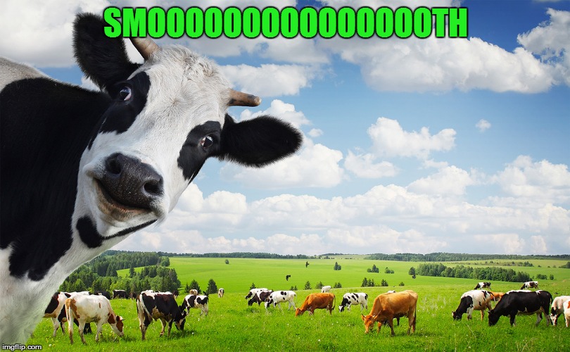 SMOOOOOOOOOOOOOOOTH | made w/ Imgflip meme maker