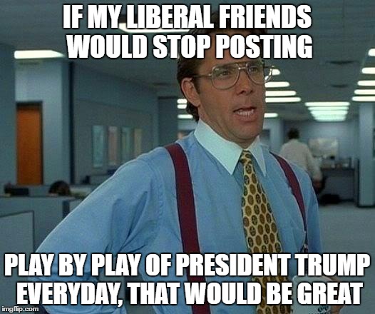 That Would Be Great | IF MY LIBERAL FRIENDS WOULD STOP POSTING; PLAY BY PLAY OF PRESIDENT TRUMP EVERYDAY, THAT WOULD BE GREAT | image tagged in memes,that would be great | made w/ Imgflip meme maker