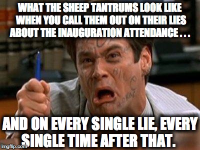 Dress is Blue - Liar Liar | WHAT THE SHEEP TANTRUMS LOOK LIKE WHEN YOU CALL THEM OUT ON THEIR LIES ABOUT THE INAUGURATION ATTENDANCE . . . AND ON EVERY SINGLE LIE, EVERY SINGLE TIME AFTER THAT. | image tagged in dress is blue - liar liar | made w/ Imgflip meme maker