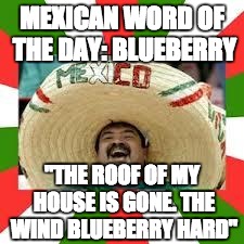 Hace viento! | MEXICAN WORD OF THE DAY: BLUEBERRY; "THE ROOF OF MY HOUSE IS GONE. THE WIND BLUEBERRY HARD" | image tagged in mexican fiesta,memes,funny memes,funny | made w/ Imgflip meme maker