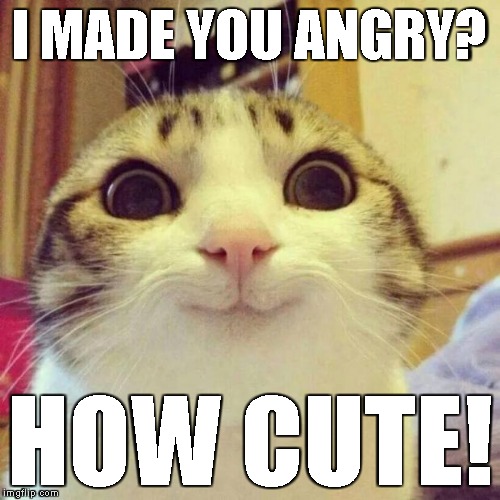 Offended? Butthurt? Come at me, bro! | I MADE YOU ANGRY? HOW CUTE! | image tagged in memes,smiling cat | made w/ Imgflip meme maker