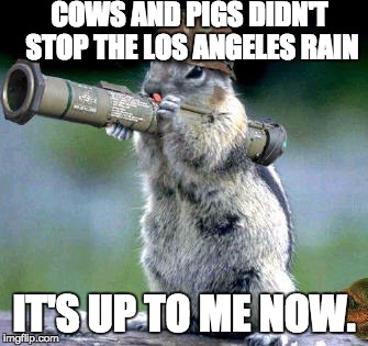 Bazooka Squirrel | COWS AND PIGS DIDN'T STOP THE LOS ANGELES RAIN; IT'S UP TO ME NOW. | image tagged in memes,bazooka squirrel | made w/ Imgflip meme maker