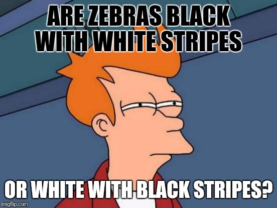 Futurama Fry Meme | ARE ZEBRAS BLACK WITH WHITE STRIPES; OR WHITE WITH BLACK STRIPES? | image tagged in memes,futurama fry | made w/ Imgflip meme maker