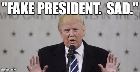 "FAKE PRESIDENT.  SAD." | image tagged in fake president | made w/ Imgflip meme maker