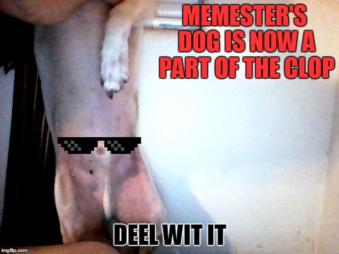 MEMESTER'S DOG IS NOW A PART OF THE CLOP; DEEL WIT IT | made w/ Imgflip meme maker