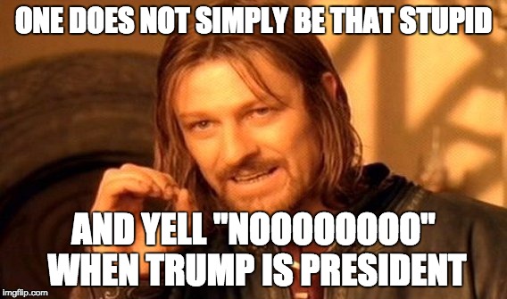 hehe | ONE DOES NOT SIMPLY BE THAT STUPID; AND YELL "NOOOOOOOO" WHEN TRUMP IS PRESIDENT | image tagged in memes,one does not simply,trump,nooooo,president,stupid | made w/ Imgflip meme maker