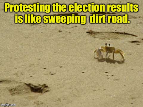 Little Acknowledged Fact Crab | Protesting the election results is like sweeping  dirt road. | image tagged in little acknowledged fact crab | made w/ Imgflip meme maker