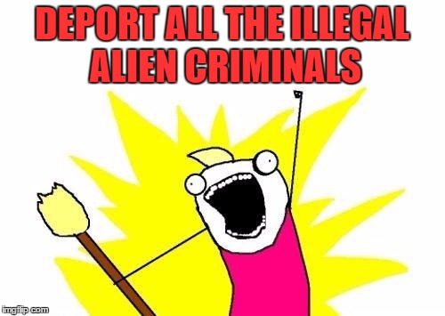 X All The Y Meme | DEPORT ALL THE ILLEGAL ALIEN CRIMINALS | image tagged in memes,x all the y | made w/ Imgflip meme maker