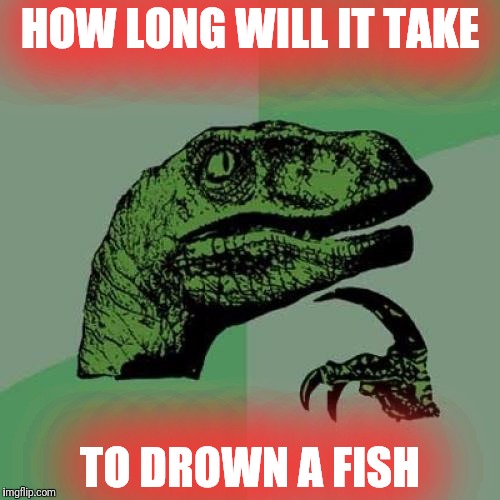 Philosoraptor | HOW LONG WILL IT TAKE; TO DROWN A FISH | image tagged in memes,philosoraptor | made w/ Imgflip meme maker