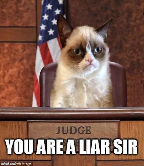 Grumpy Cat is tired of the lies... | YOU ARE A LIAR SIR | image tagged in grumpy cat,judge judy,judge judy unimpressed,liars,what if i told you,politicians | made w/ Imgflip meme maker