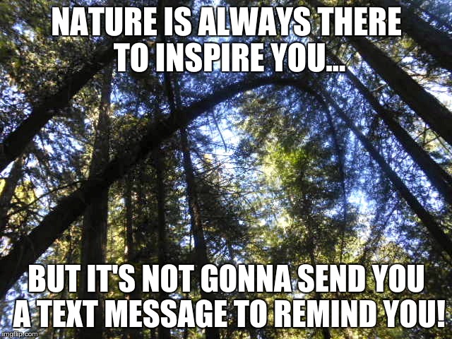 nature | NATURE
IS ALWAYS THERE TO INSPIRE YOU... BUT IT'S NOT GONNA SEND YOU A TEXT MESSAGE TO REMIND YOU! | image tagged in inspiration | made w/ Imgflip meme maker