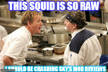 Ramsey | THIS SQUID IS SO RAW; I SHOULD BE CRASHING SKY'S MOD REVIEWS | image tagged in ramsey | made w/ Imgflip meme maker