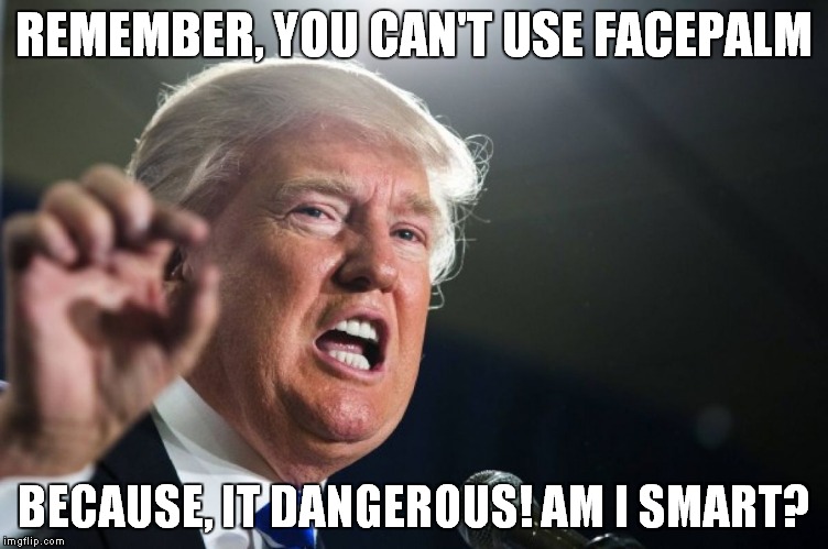 donald trump | REMEMBER, YOU CAN'T USE FACEPALM; BECAUSE, IT DANGEROUS! AM I SMART? | image tagged in donald trump | made w/ Imgflip meme maker