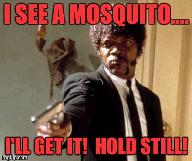 Say That Again I Dare You | I SEE A MOSQUITO.... I'LL GET IT!  HOLD STILL! | image tagged in memes,say that again i dare you | made w/ Imgflip meme maker