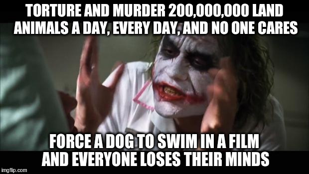 Force a dog to swim... | TORTURE AND MURDER 200,000,000 LAND ANIMALS A DAY, EVERY DAY, AND NO ONE CARES; FORCE A DOG TO SWIM IN A FILM AND EVERYONE LOSES THEIR MINDS | image tagged in memes,and everybody loses their minds,a dog's life,vegan | made w/ Imgflip meme maker