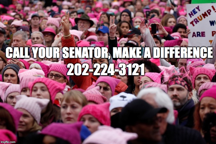 Women's March | 202-224-3121; CALL YOUR SENATOR, MAKE A DIFFERENCE | image tagged in women's march | made w/ Imgflip meme maker