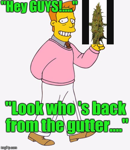"Hey GUYS!...." "Look who 's back from the gutter...." | made w/ Imgflip meme maker