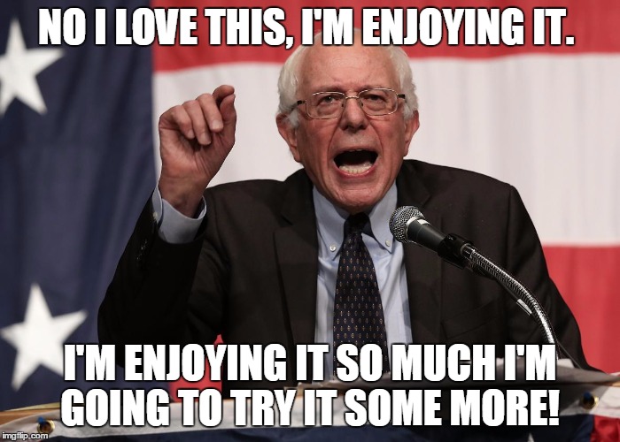 bernie point | NO I LOVE THIS, I'M ENJOYING IT. I'M ENJOYING IT SO MUCH I'M GOING TO TRY IT SOME MORE! | image tagged in bernie point | made w/ Imgflip meme maker