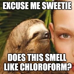 rape sloth | EXCUSE ME SWEETIE; DOES THIS SMELL LIKE CHLOROFORM? | image tagged in rape sloth | made w/ Imgflip meme maker