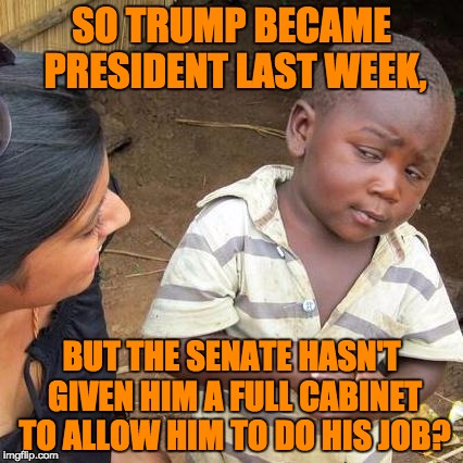 Third World Skeptical Kid Meme | SO TRUMP BECAME PRESIDENT LAST WEEK, BUT THE SENATE HASN'T GIVEN HIM A FULL CABINET TO ALLOW HIM TO DO HIS JOB? | image tagged in memes,third world skeptical kid | made w/ Imgflip meme maker