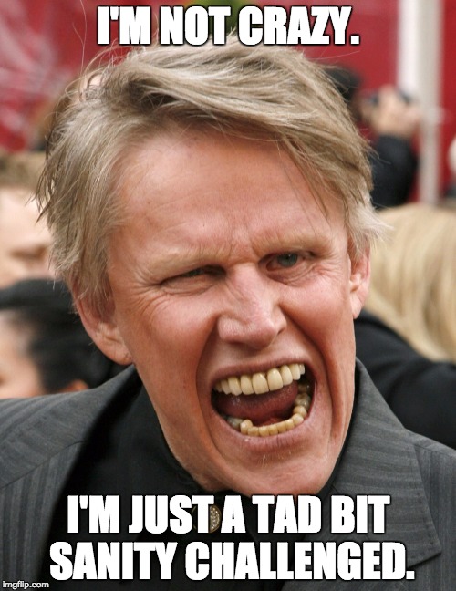 Busey birthday  | I'M NOT CRAZY. I'M JUST A TAD BIT SANITY CHALLENGED. | image tagged in busey birthday | made w/ Imgflip meme maker